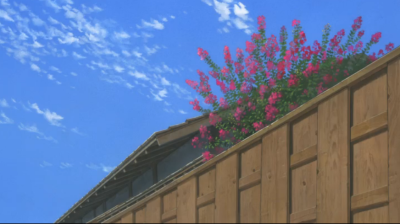 百日红剧照的剧照