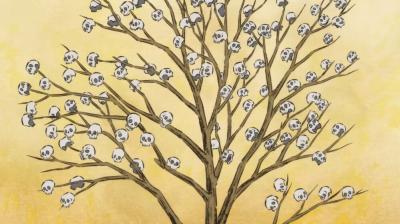 百日红剧照的剧照