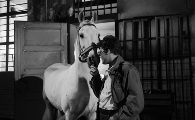 灰烬与钻石剧照的剧照