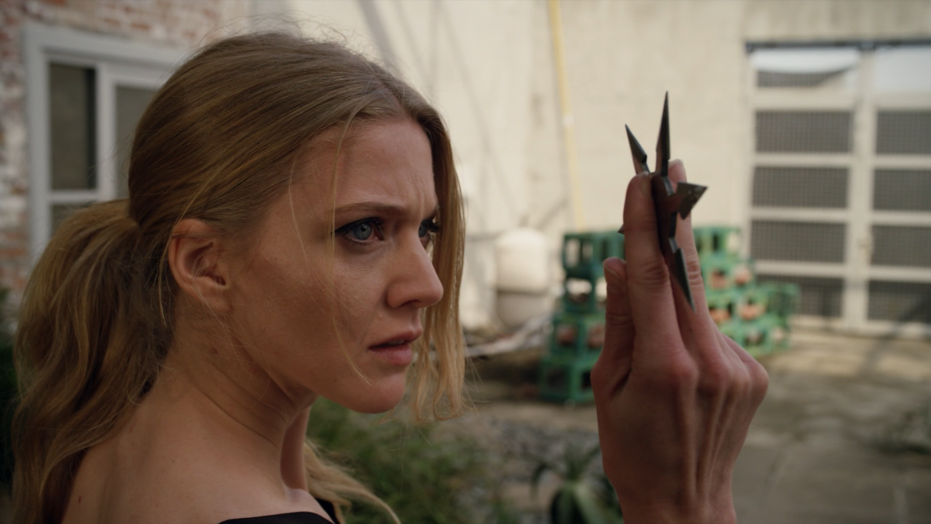 小猫快跑2剧照的剧照