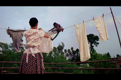 弗里达剧照的剧照