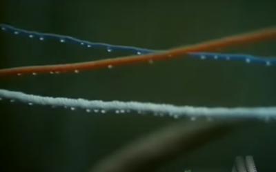 逆光剧照的剧照