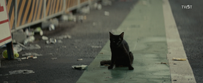 去年冬天与你分手剧照的剧照