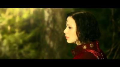 最后的德鲁伊：加尔姆战争剧照的剧照