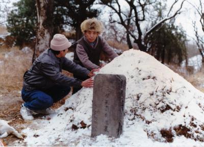 阙里人家剧照的剧照