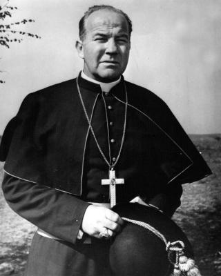 骗子剧照的剧照