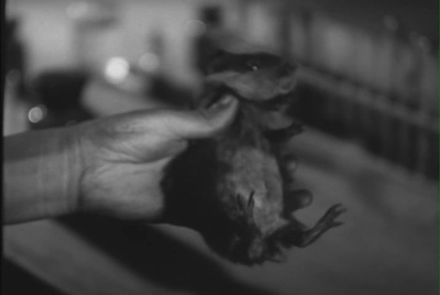 透明人出现了剧照的剧照