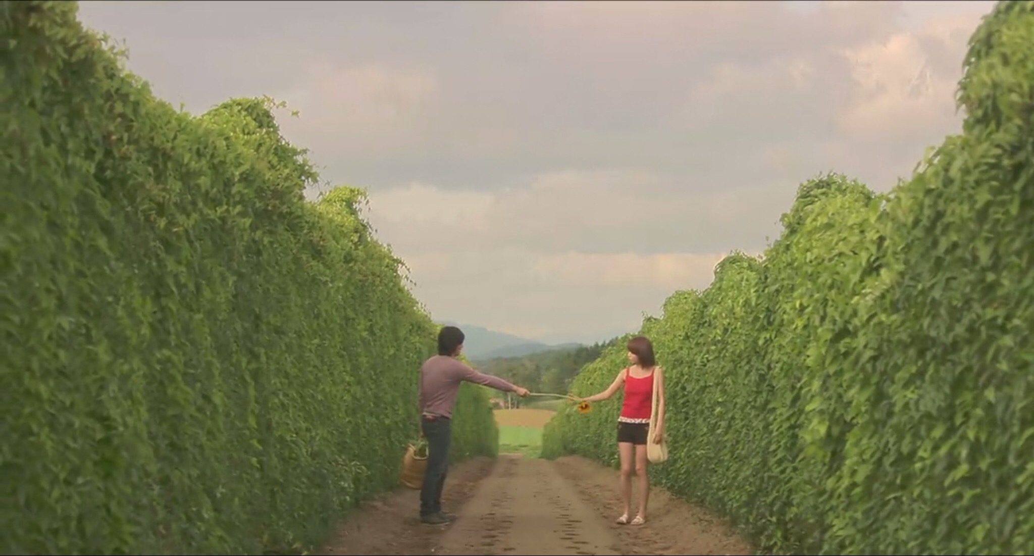 幸福的面包剧照的剧照