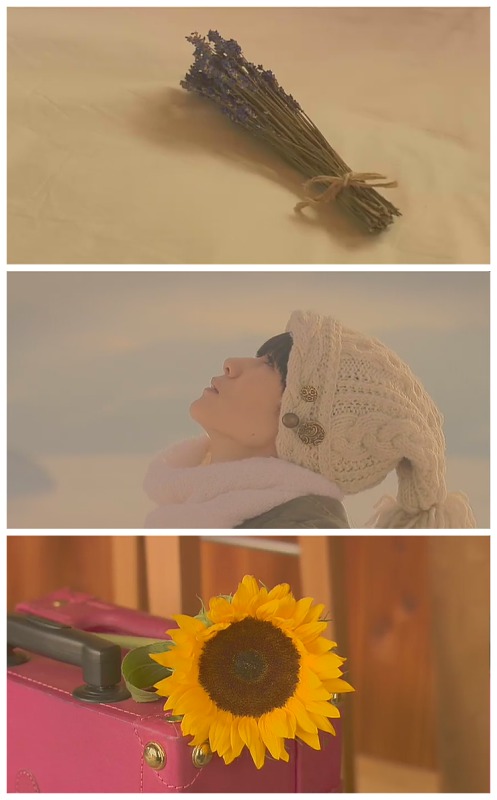 幸福的面包剧照的剧照