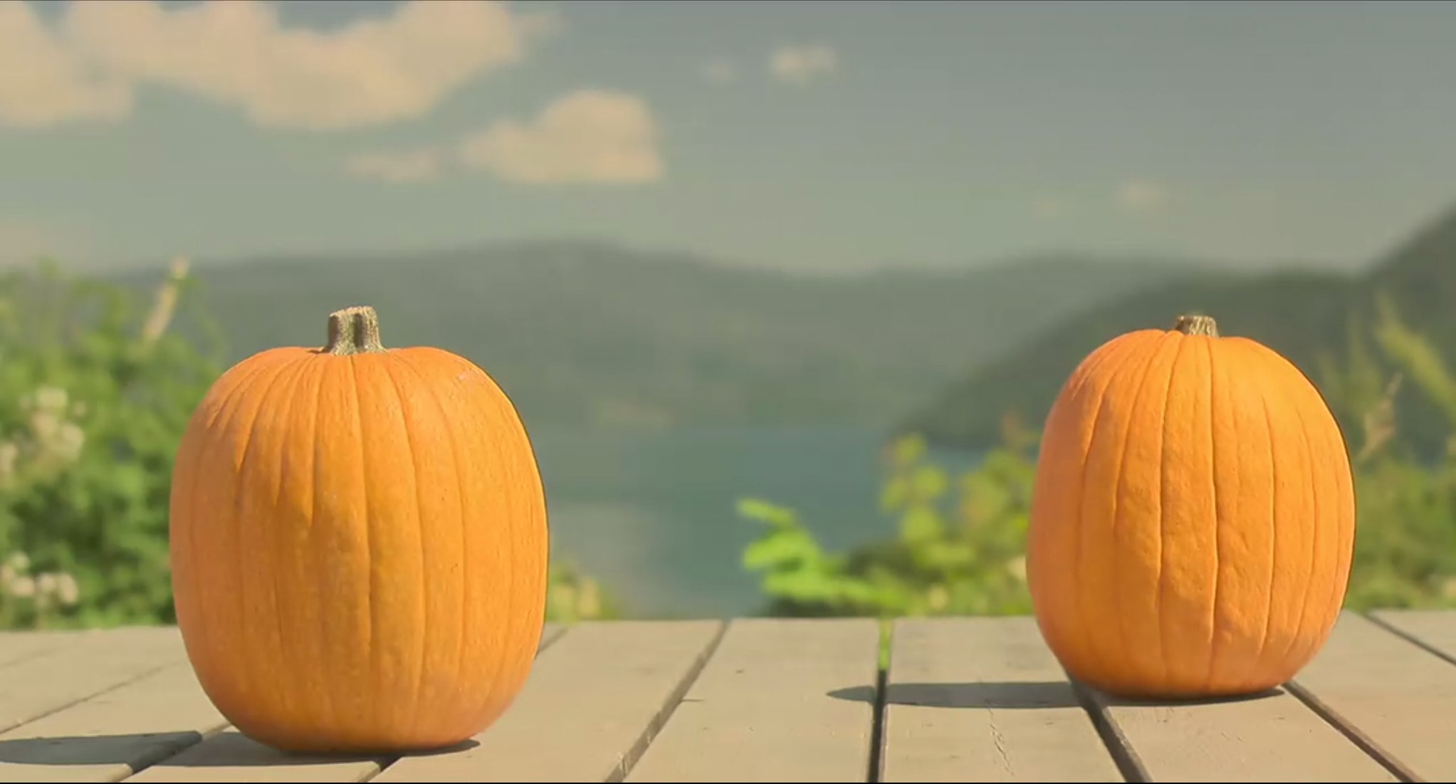 幸福的面包剧照的剧照