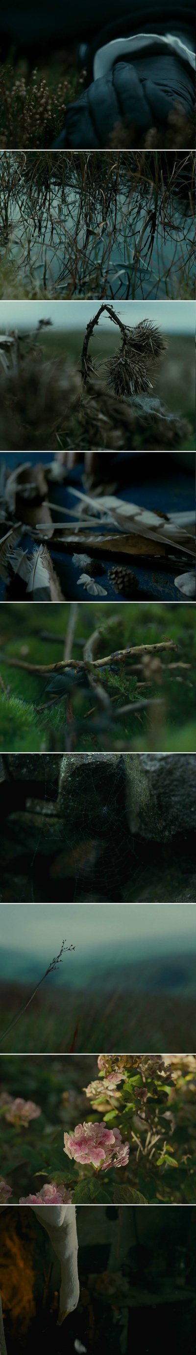 呼啸山庄剧照的剧照