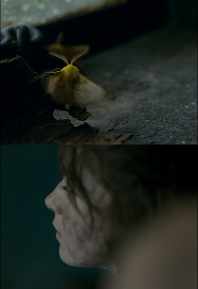 呼啸山庄剧照的剧照