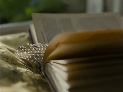 呼啸山庄剧照的剧照