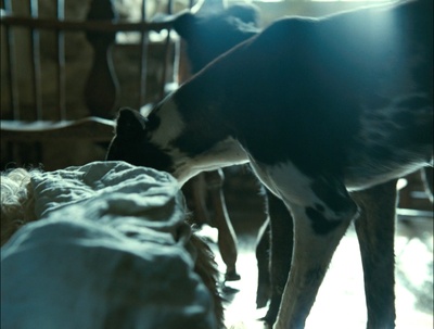 呼啸山庄剧照的剧照