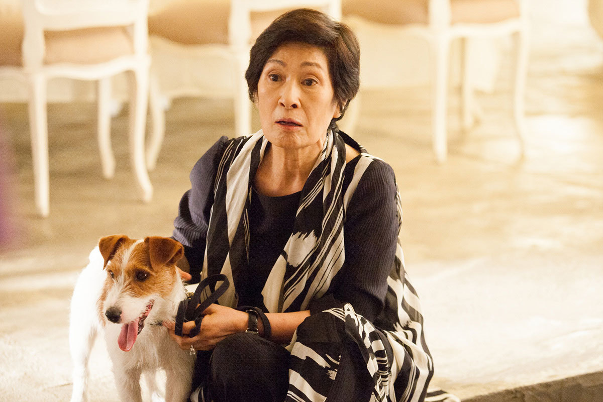 偷狗的完美方法剧照的剧照