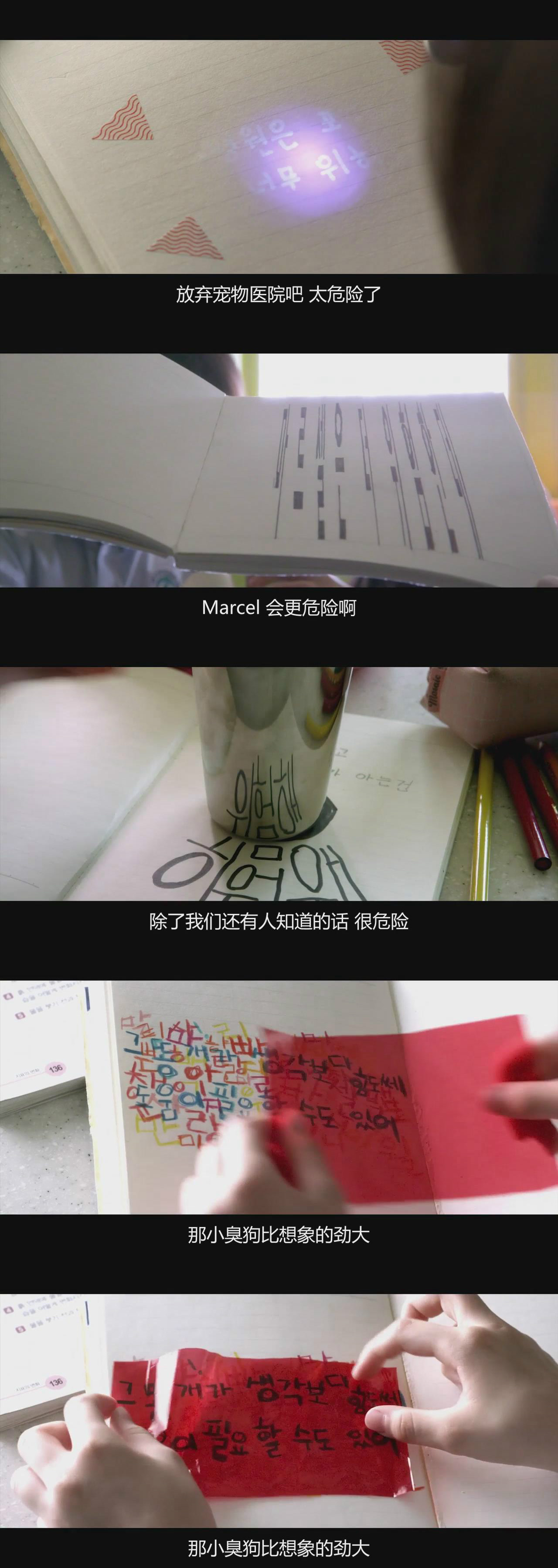 偷狗的完美方法剧照的剧照