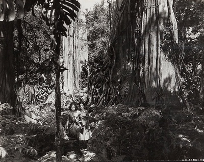 森林王子剧照的剧照