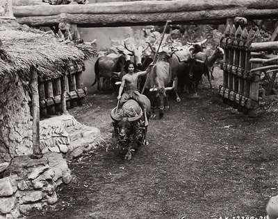 森林王子剧照的剧照