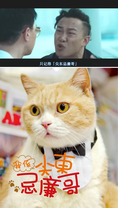 金鸡SSS剧照的剧照