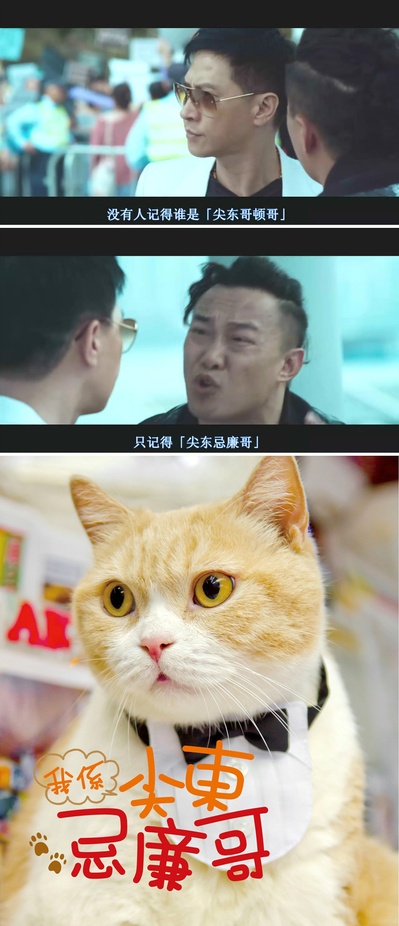 金鸡SSS剧照的剧照