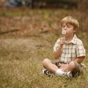 蒲公英的灰尘剧照