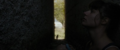 太阳高照剧照的剧照