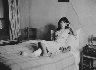 寄生虫剧照的剧照