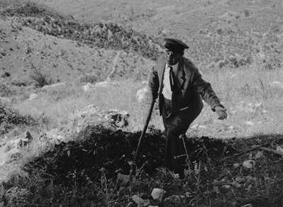 寄生虫剧照的剧照