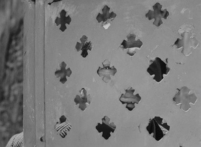 寄生虫剧照的剧照