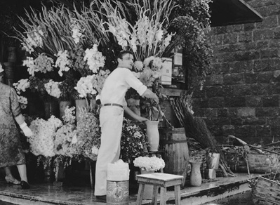 寄生虫剧照的剧照