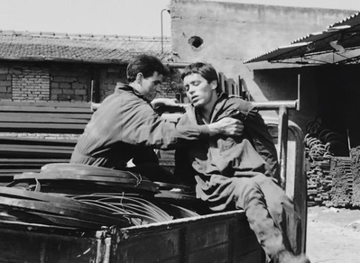 寄生虫剧照的剧照