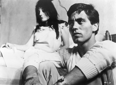 寄生虫剧照的剧照