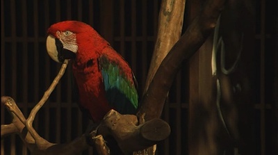 赤桥下的暖流剧照的剧照