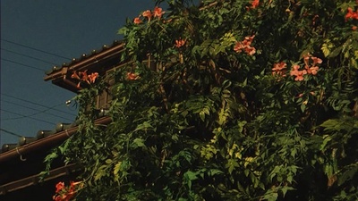 赤桥下的暖流剧照的剧照