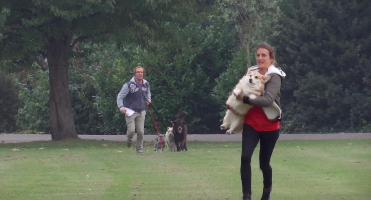 憨憨公主的心思剧照的剧照