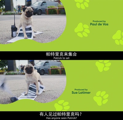 我的冤家是条狗剧照的剧照