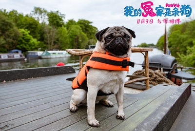 我的冤家是条狗剧照的剧照