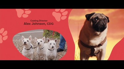 我的冤家是条狗剧照的剧照