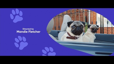 我的冤家是条狗剧照的剧照