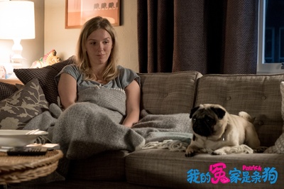 我的冤家是条狗剧照的剧照