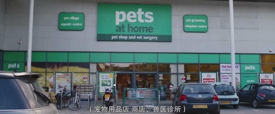 我的冤家是条狗剧照的剧照