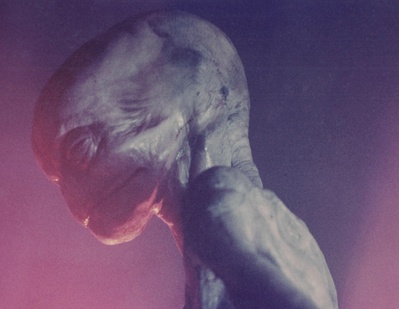 南瓜恶灵剧照的剧照