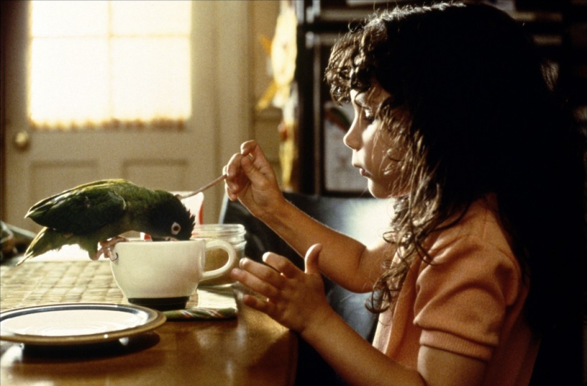 阿鹦爱说笑剧照的剧照