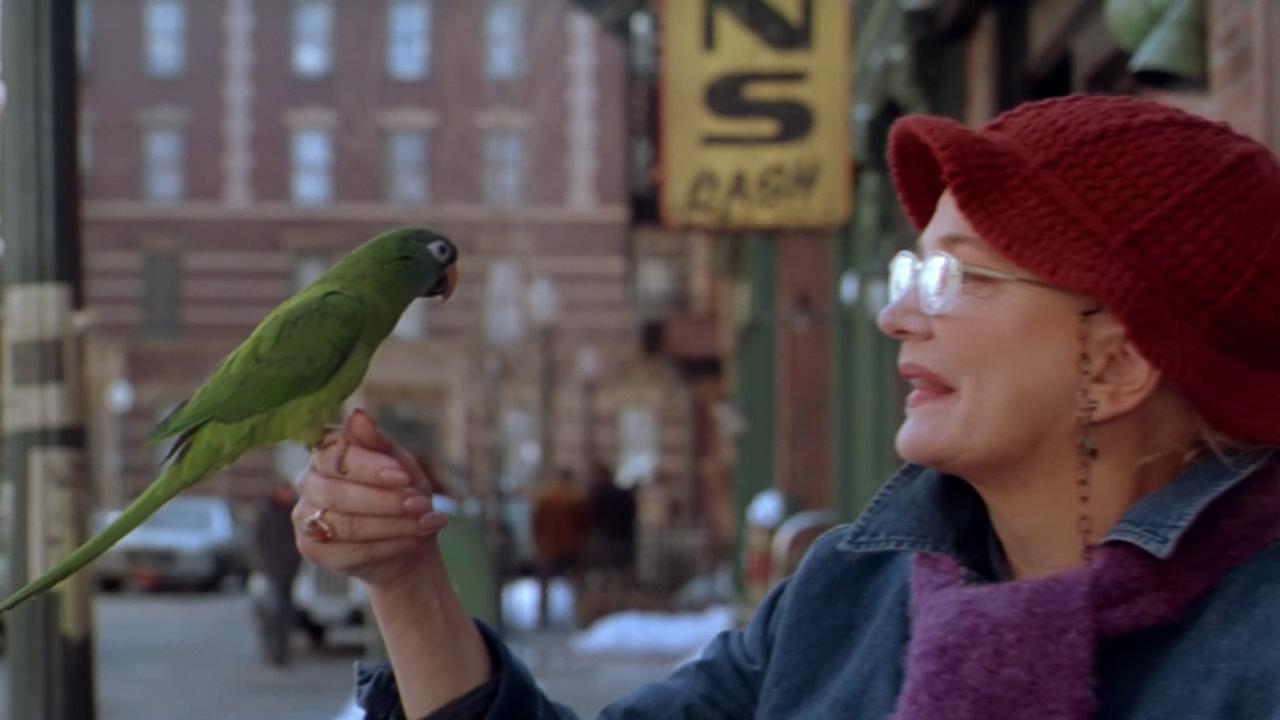 阿鹦爱说笑剧照的剧照