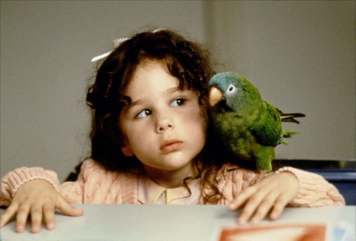 阿鹦爱说笑剧照的剧照