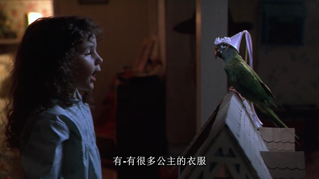 阿鹦爱说笑剧照的剧照