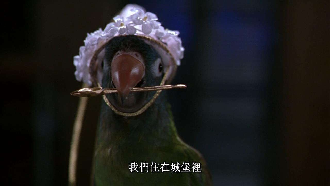 阿鹦爱说笑剧照的剧照