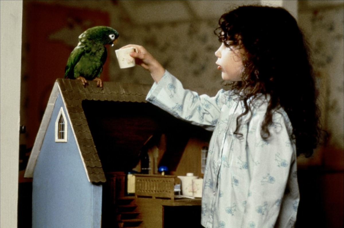 阿鹦爱说笑剧照的剧照