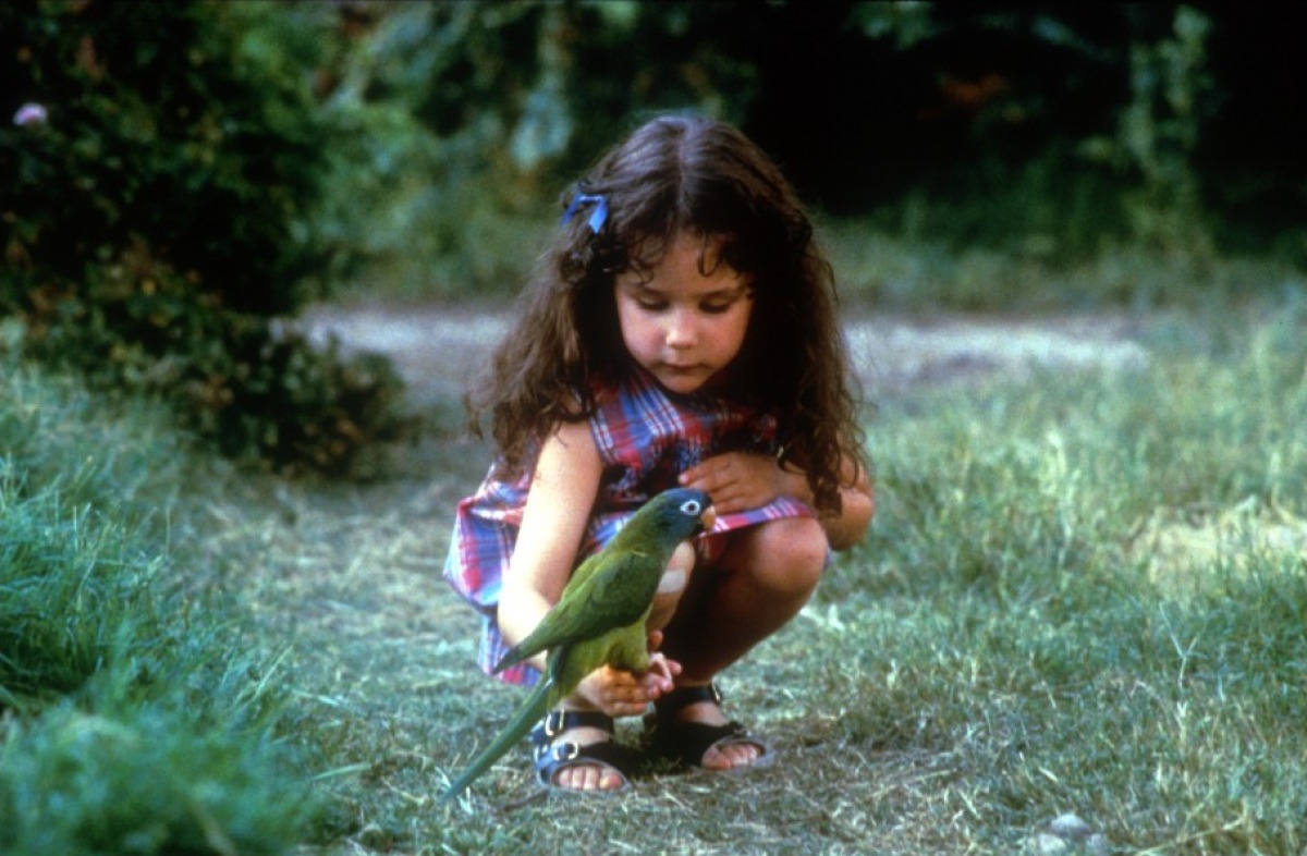 阿鹦爱说笑剧照的剧照