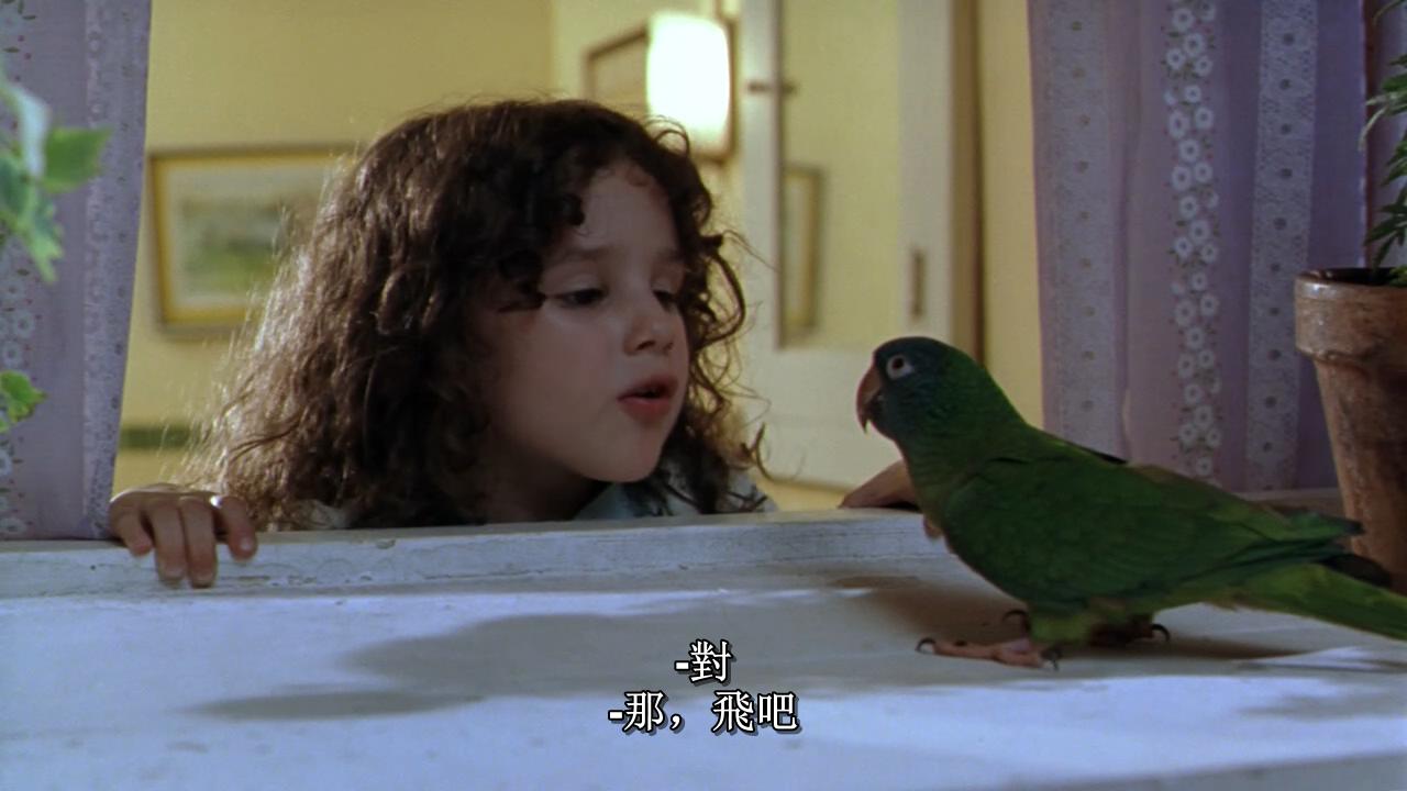 阿鹦爱说笑剧照的剧照